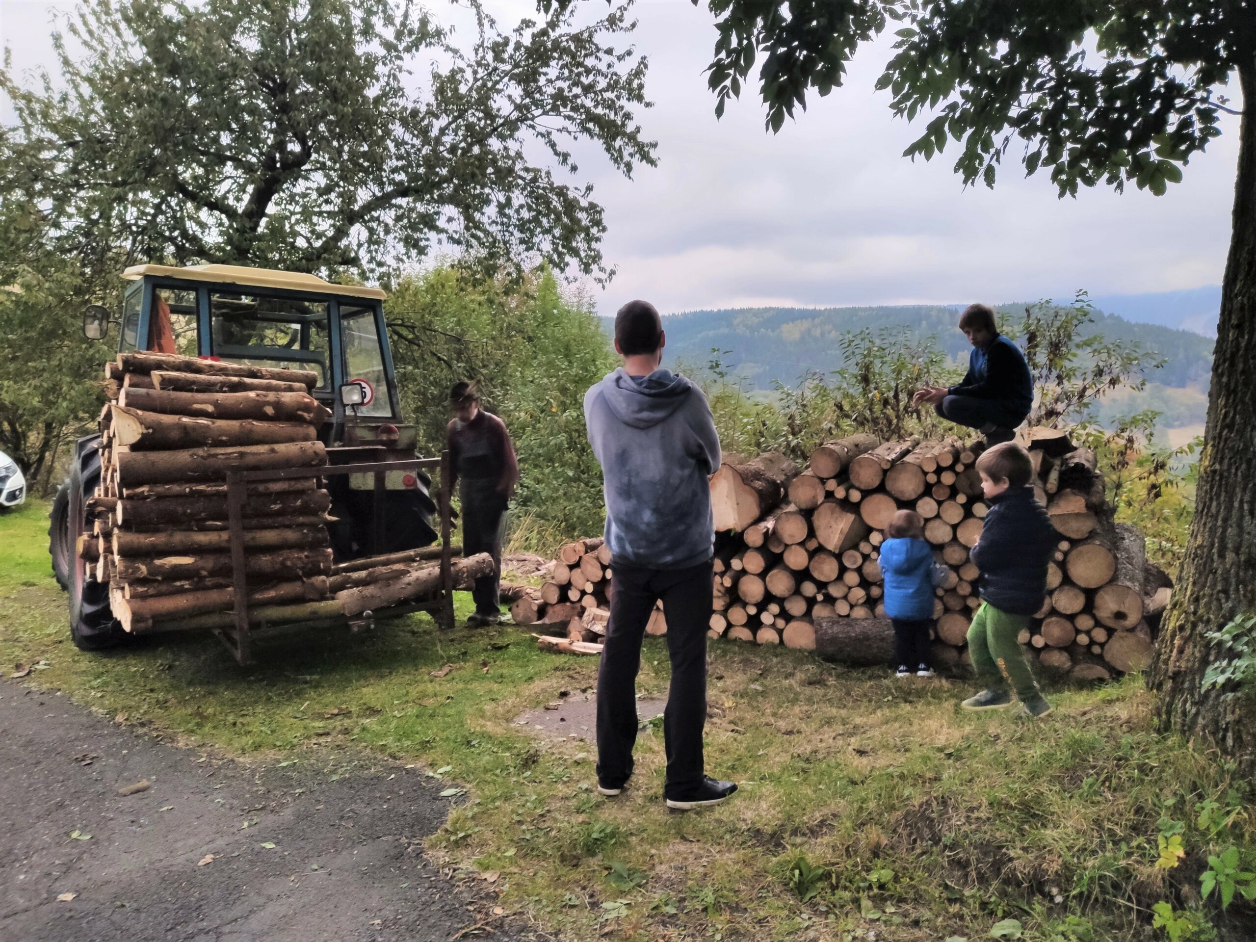 Новый год в одиночестве. Го в скайп (Третий звонок) | Пикабу